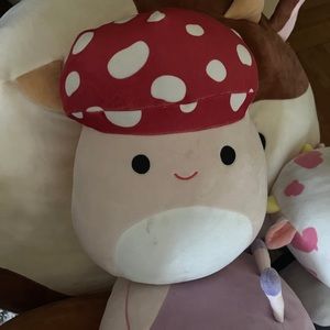 Malcolm the Mushroom Squishmallow